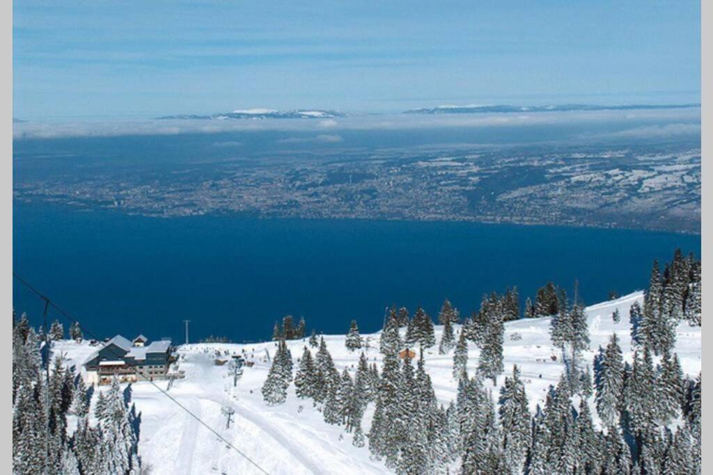 Duplex En Station Vue Sur Lac Leman Thollon-les-Memises Exteriör bild