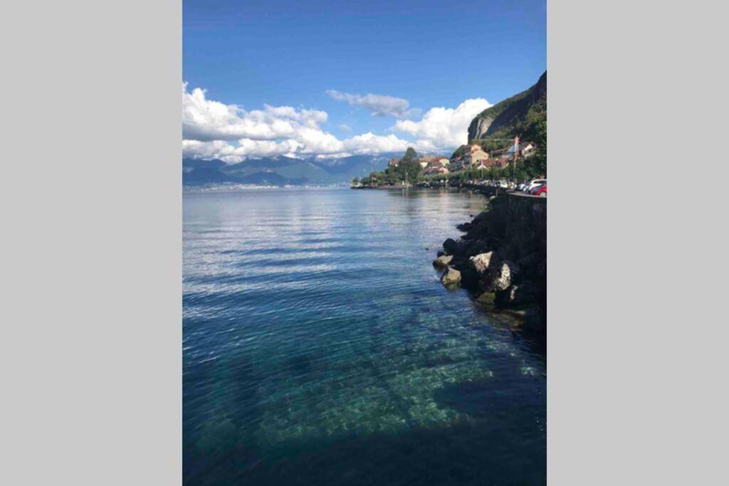 Duplex En Station Vue Sur Lac Leman Thollon-les-Memises Exteriör bild