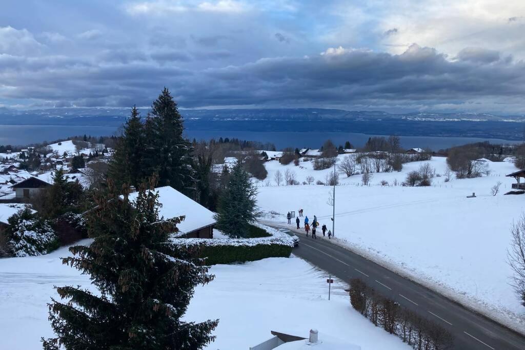 Duplex En Station Vue Sur Lac Leman Thollon-les-Memises Exteriör bild