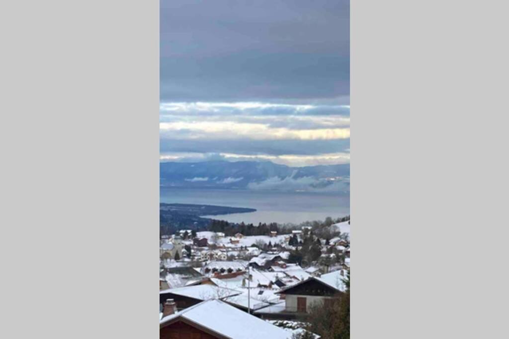 Duplex En Station Vue Sur Lac Leman Thollon-les-Memises Exteriör bild