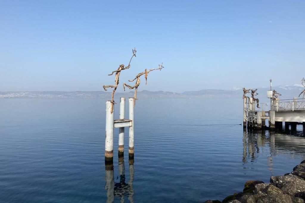 Duplex En Station Vue Sur Lac Leman Thollon-les-Memises Exteriör bild