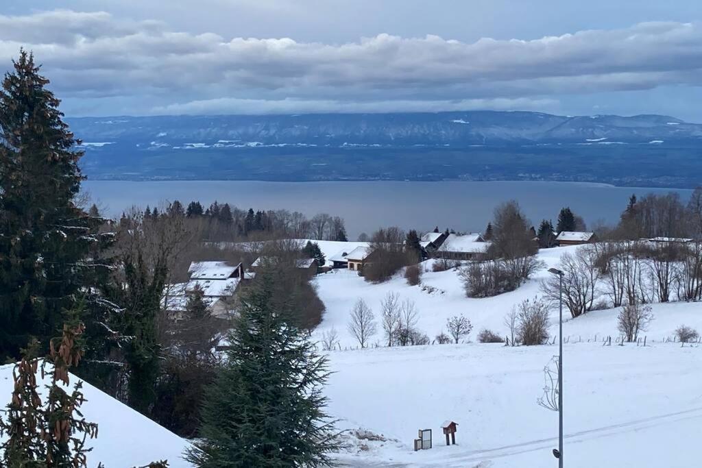 Duplex En Station Vue Sur Lac Leman Thollon-les-Memises Exteriör bild
