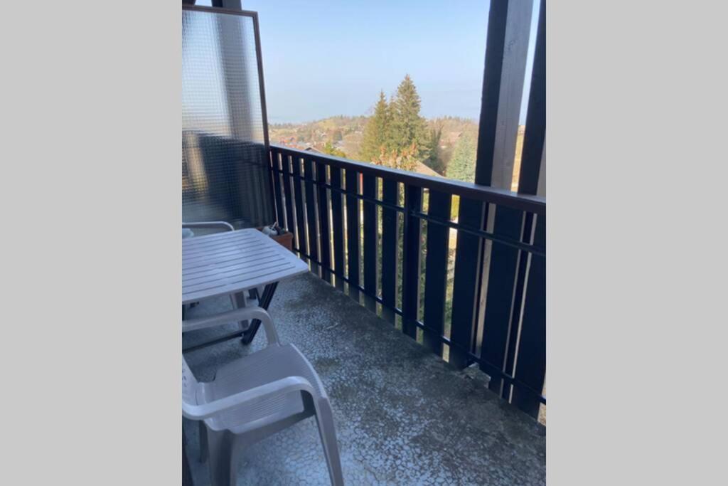 Duplex En Station Vue Sur Lac Leman Thollon-les-Memises Exteriör bild